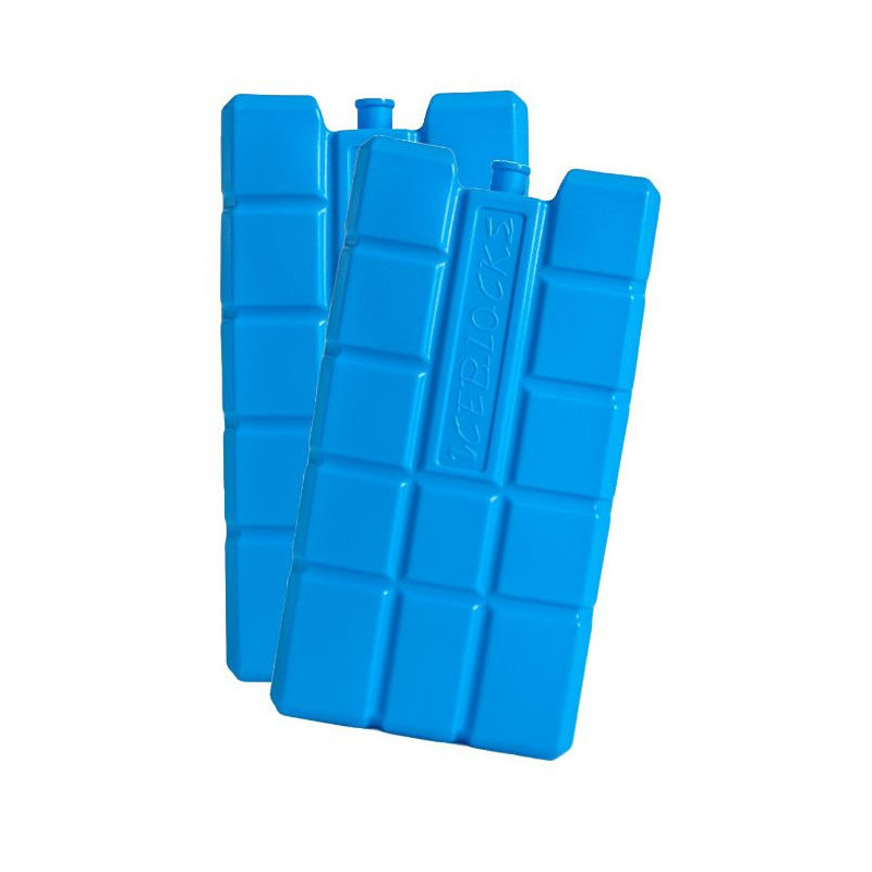 blocs de froid cool pack large x2